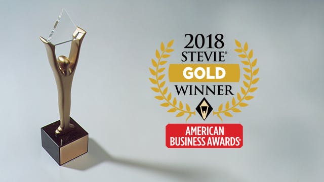Ernie Bray Honored As GOLD STEVIE® Award Winner in 2018 American Business Awards